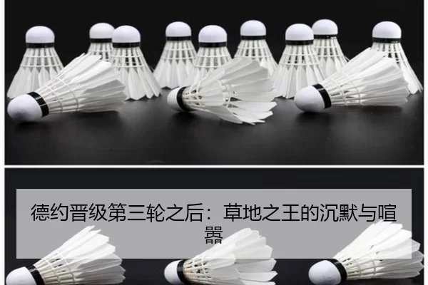 德约晋级第三轮之后：草地之王的沉默与喧嚣